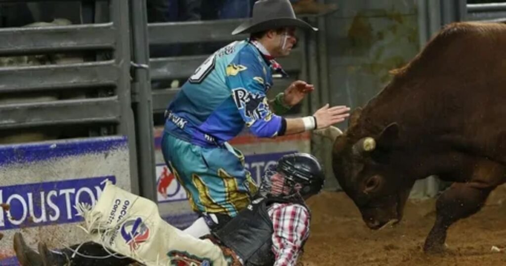 Cowboy-Classics-Funny-Names-For-Bulls.