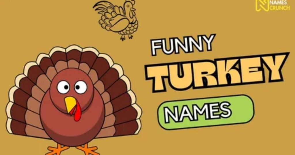 Funny-Turkey-Names.